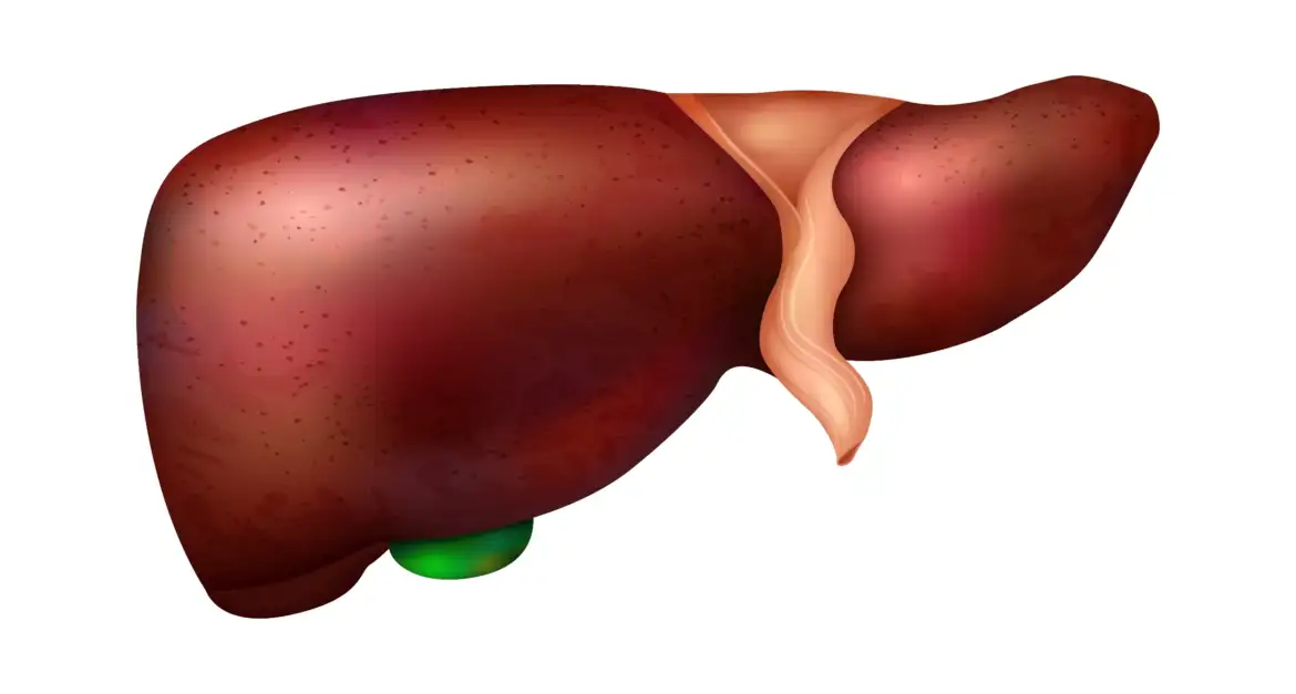 Kenali Hepatitis: Jenis, Gejala, dan Pengobatannya