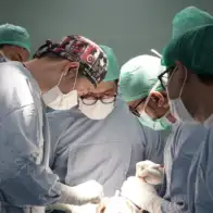 Bedah Orthognatik, Solusi untuk Fungsi Rahang dan Masalah Estetika Wajah